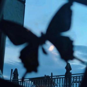 主播户外勾塔路人直播平台
